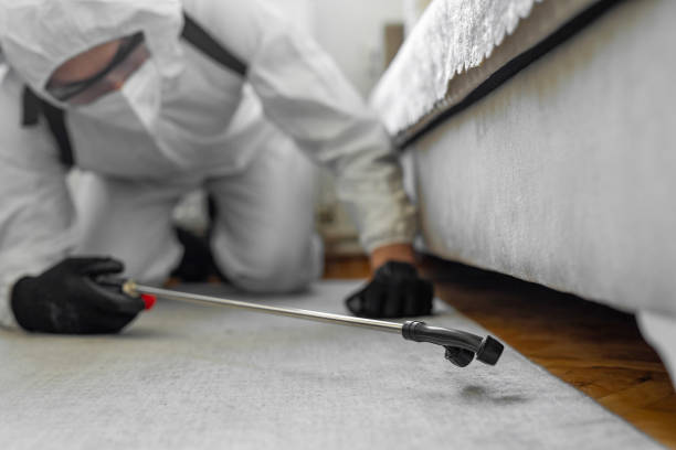 Professional Cockroach Control technician working in Puyallup, WA