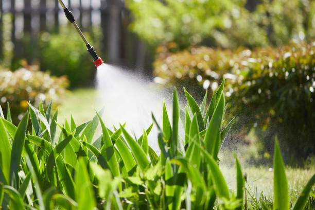 24/7 Emergency Cockroach Control experts in Puyallup, WA