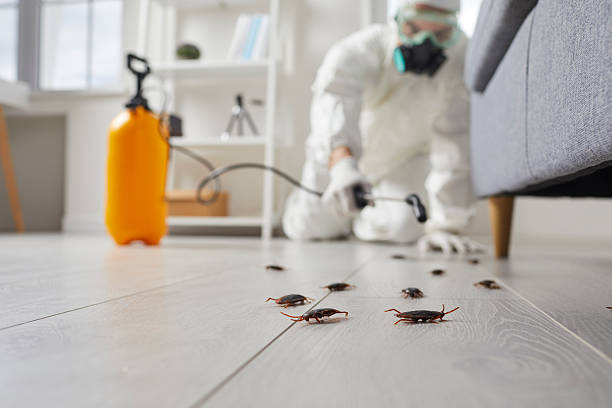 Trusted Cockroach Control service in Puyallup, WA - Nex Pest Control